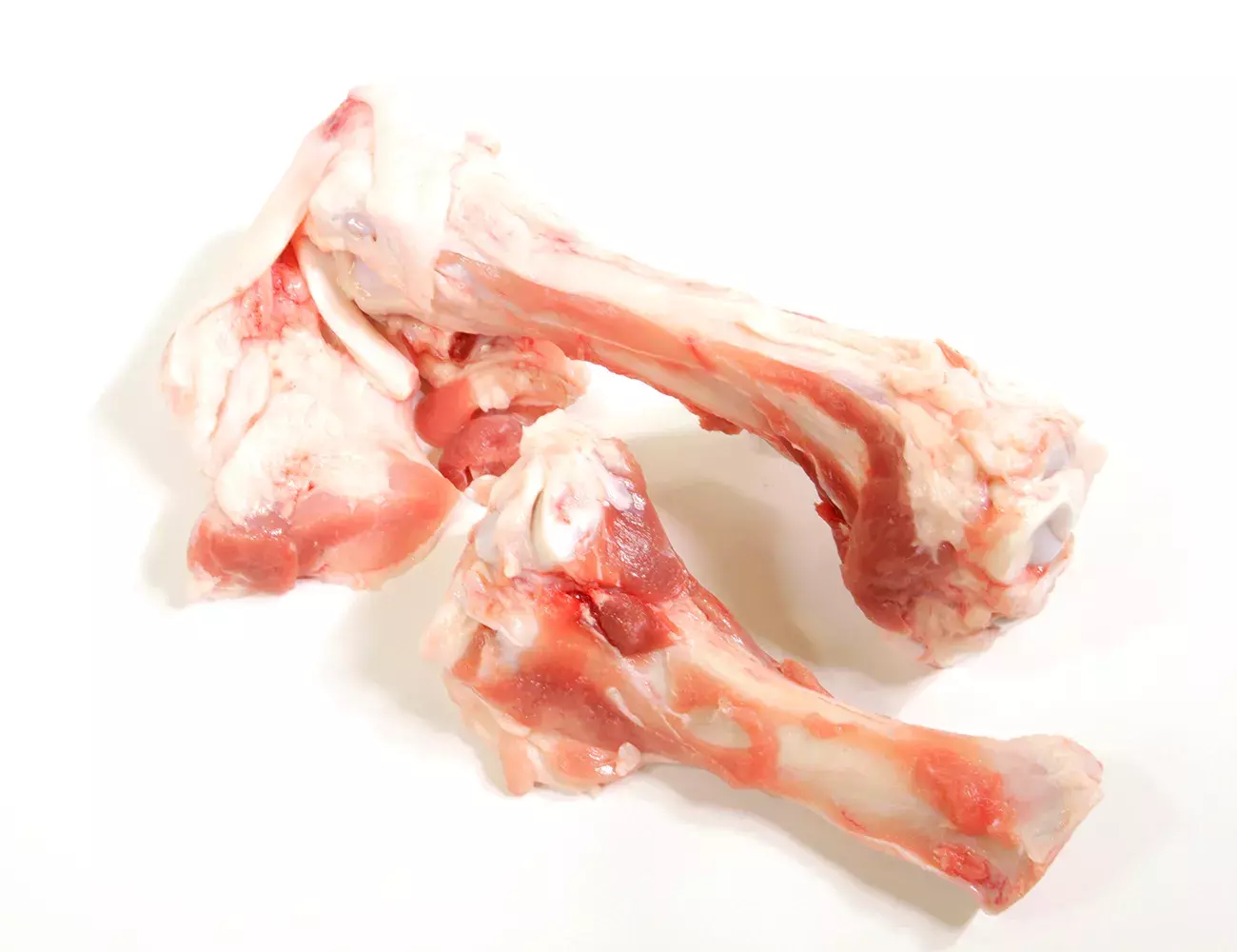 Hueso de Tibia