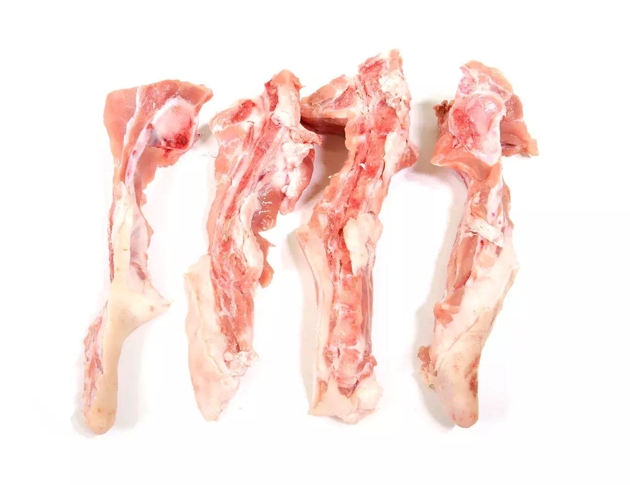 Hueso de Rabo