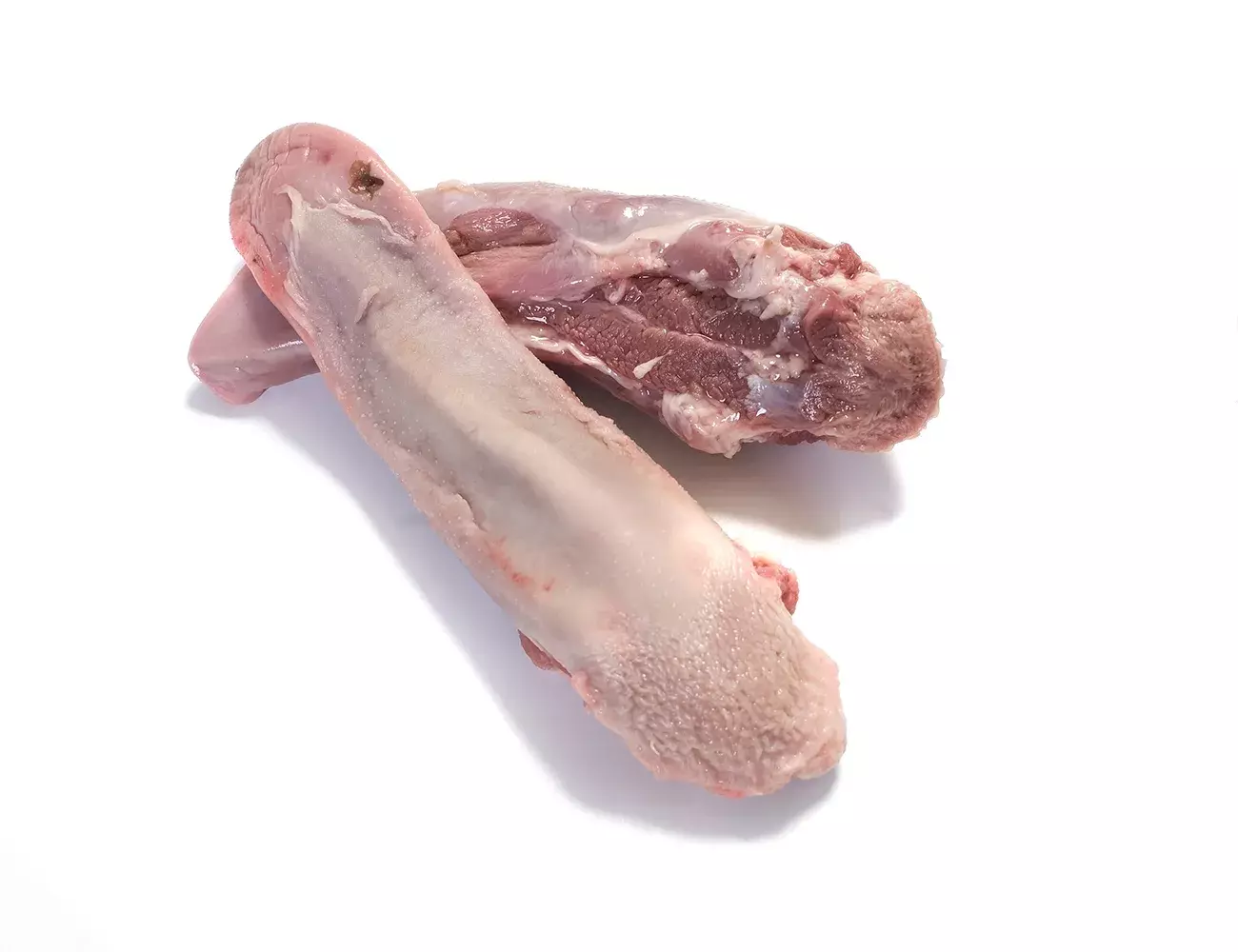 Lengua
